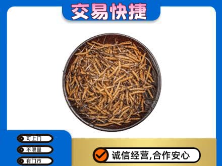 延安礼品回收虫草.jpg